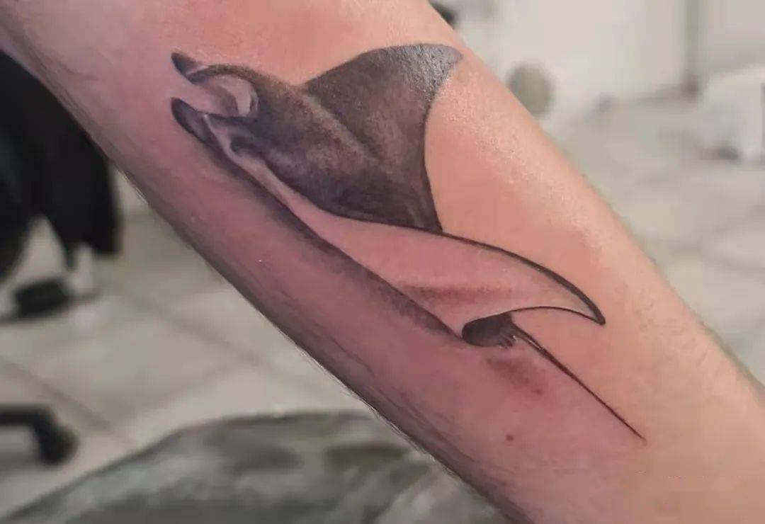 长相怪异的蝠鲼纹身