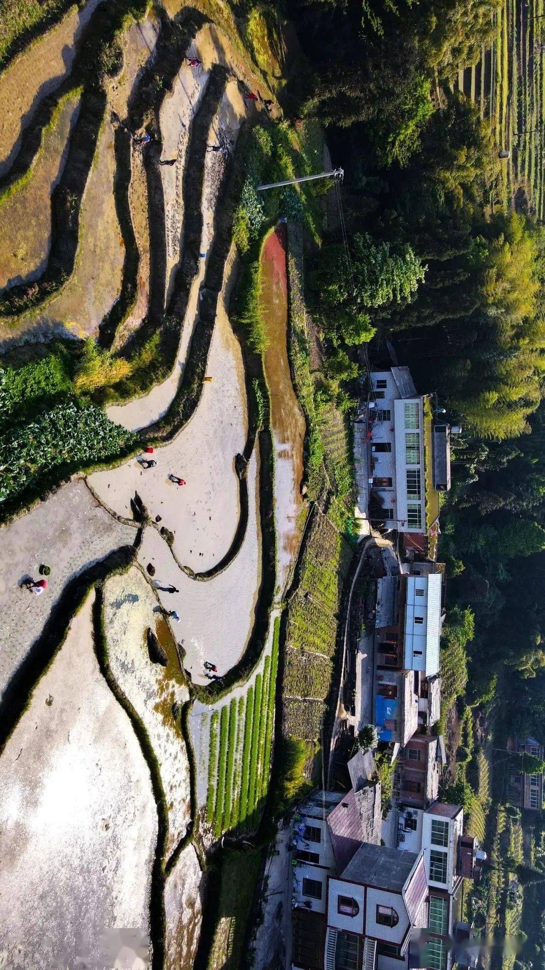 这仙境般的梯田,昭通也有!_落雁乡_步一_溪洛渡镇