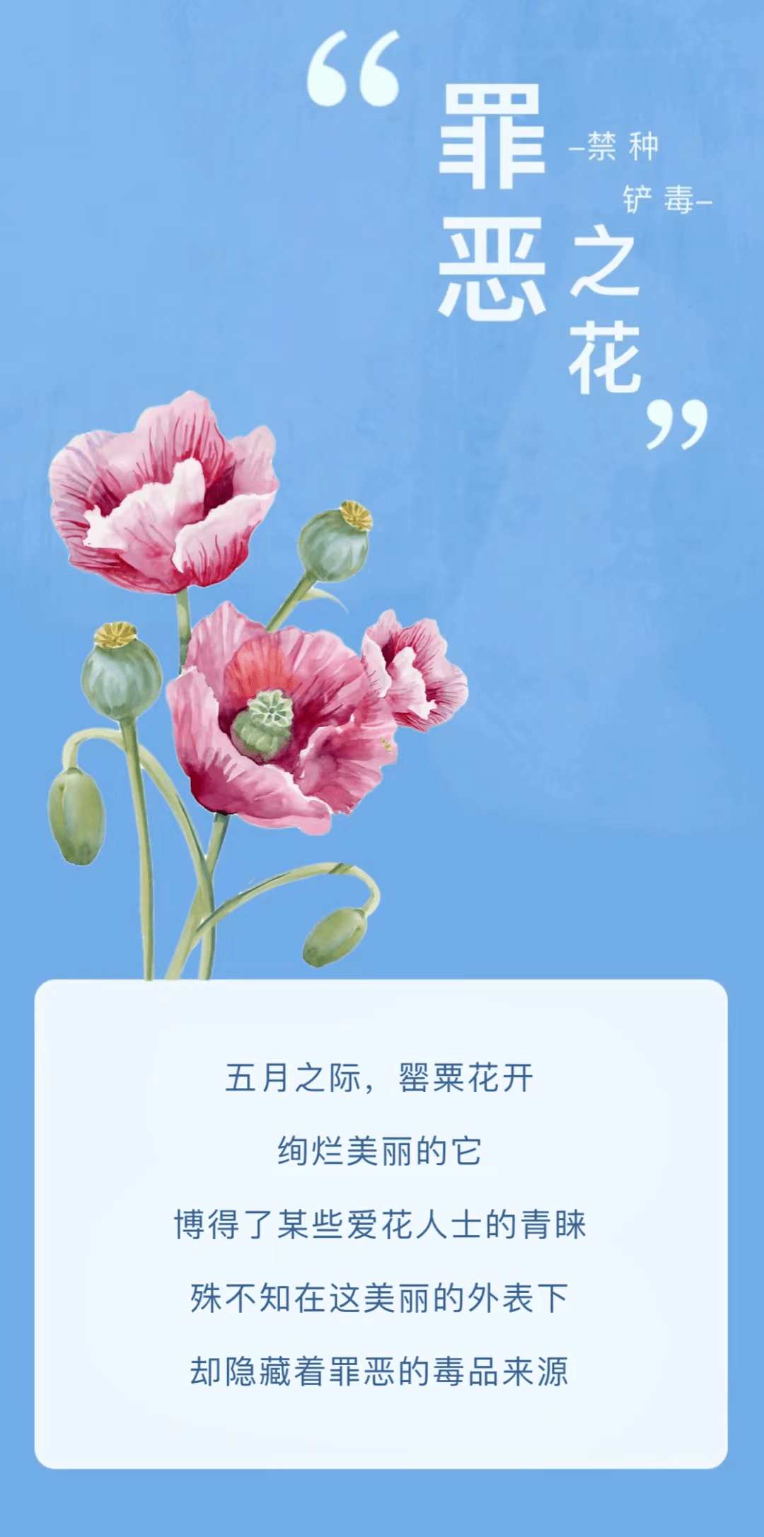 禁止种植罂粟宣传音频图片