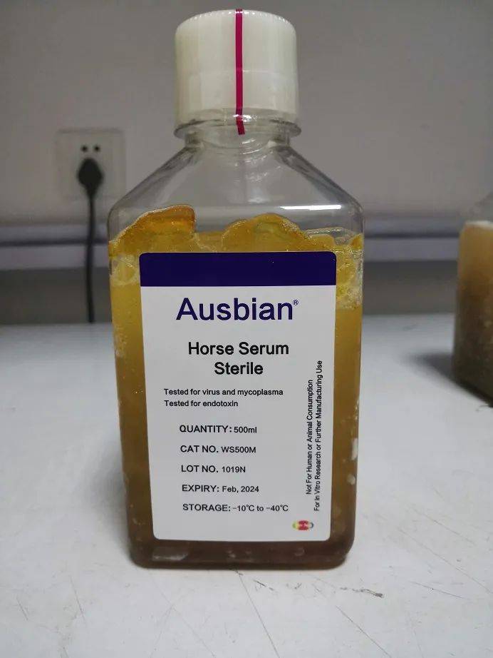 细胞培养中低调的高手马血清