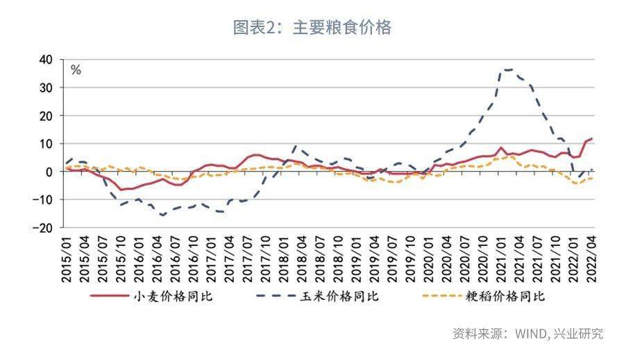 今日推荐如何看待粮价上涨