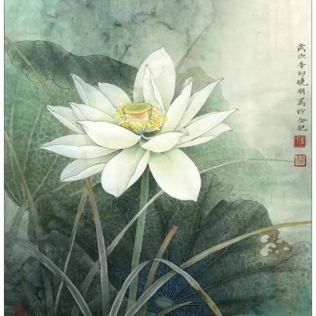 李晓明《荷韵》绘制步骤图(白荷)!_花头_荷叶_根部