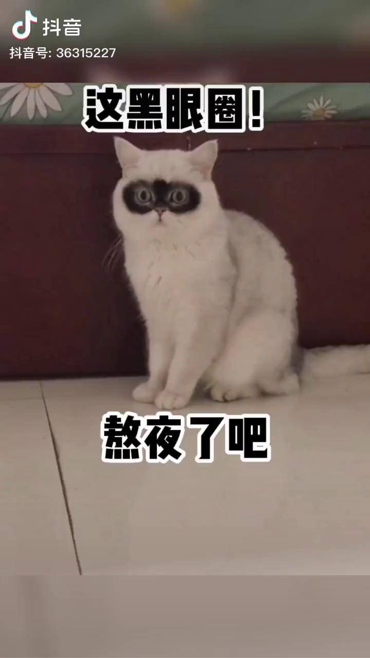 这黑眼圈也太严重了昨晚又熬夜了吧搞笑搞笑配音动物搞笑配音搞笑视频