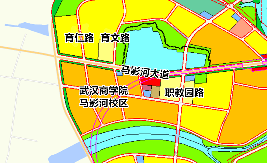 武汉商学院汉南马影河校区现状_建设_道路_征地