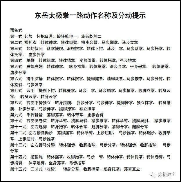 东岳太极拳演示新音乐