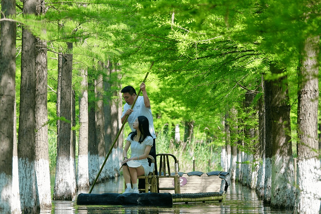 5月19日免门票！中国旅游日遇上520表白日，来洪泽湖湿地景区开启一段浪漫旅程~