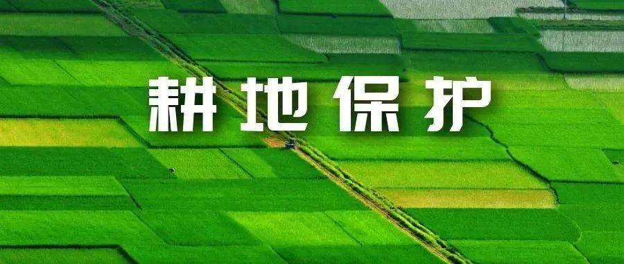 耕地保护“浙”里行丨桐庐：旱地变良田 田园焕新颜水田项目区富春江镇 