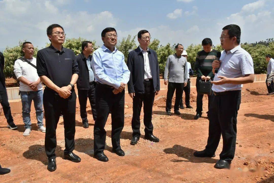 杨正晓率市人大调研组到我县调研_花卉_产业_发展