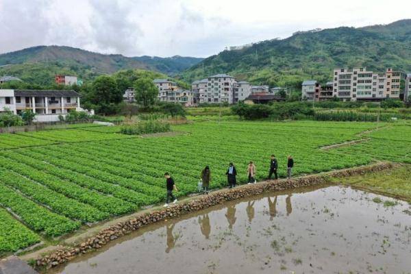 福建长庆图片