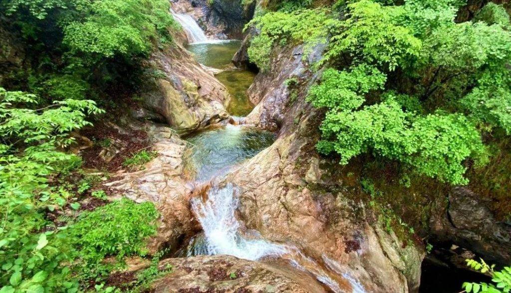 中国旅游日 | 老君山任性免门票啦！