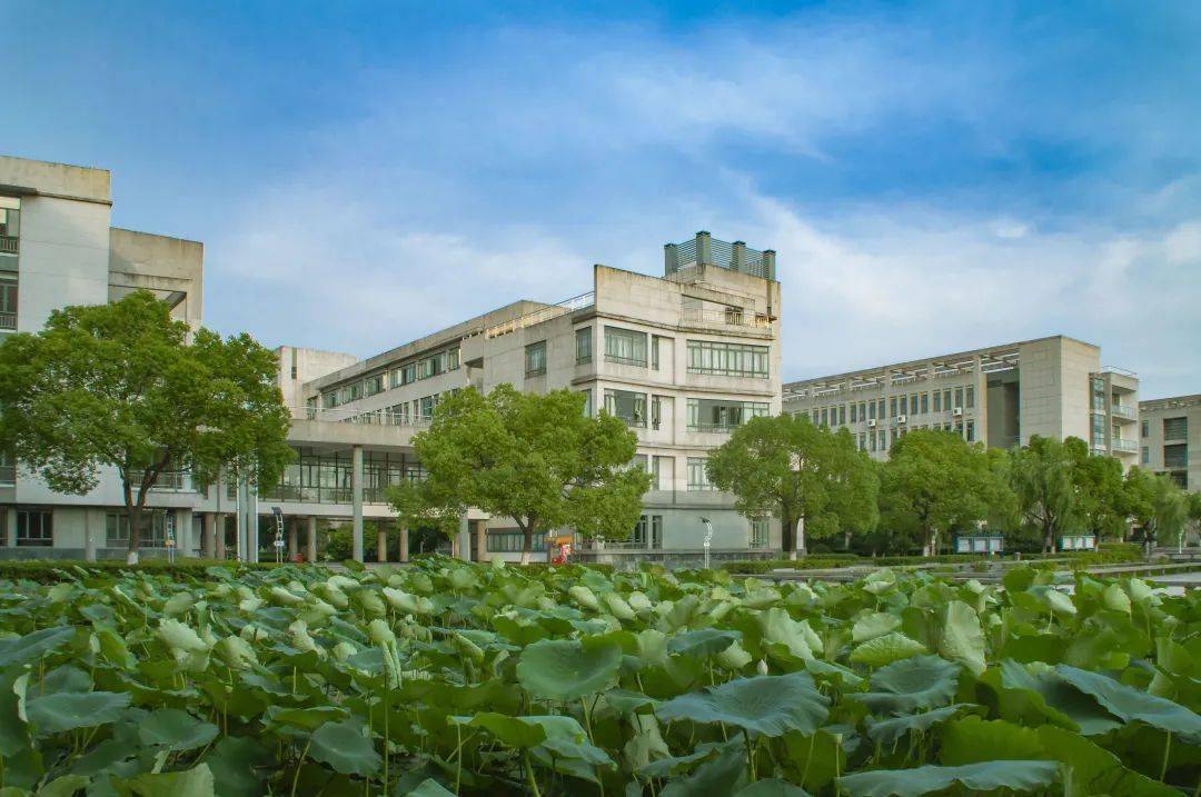 我校获得"浙江省绿色学校(高等学校)"称号_节能_校园_环保