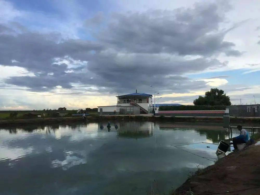 "中国旅游日"齐齐哈尔昂昂溪区欢迎您!_景点_榆树_路线