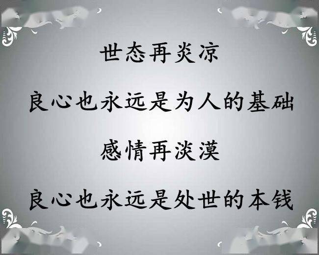 良心,多少钱一斤?_良心
