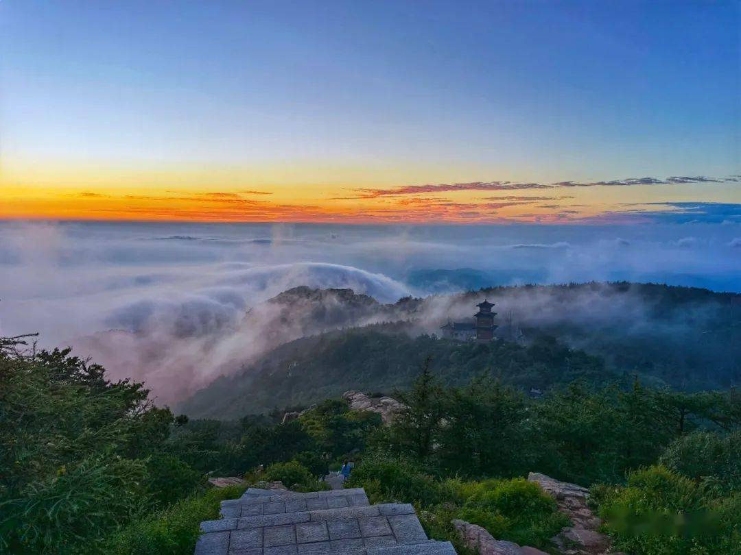 泰山森林覆盖率高,植被茂密,负氧离子爆表,是名副其实的天然氧吧.
