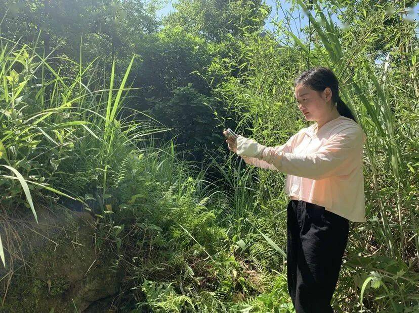 我为万盛守文物张秀婷文物巡查路上的铿锵玫瑰