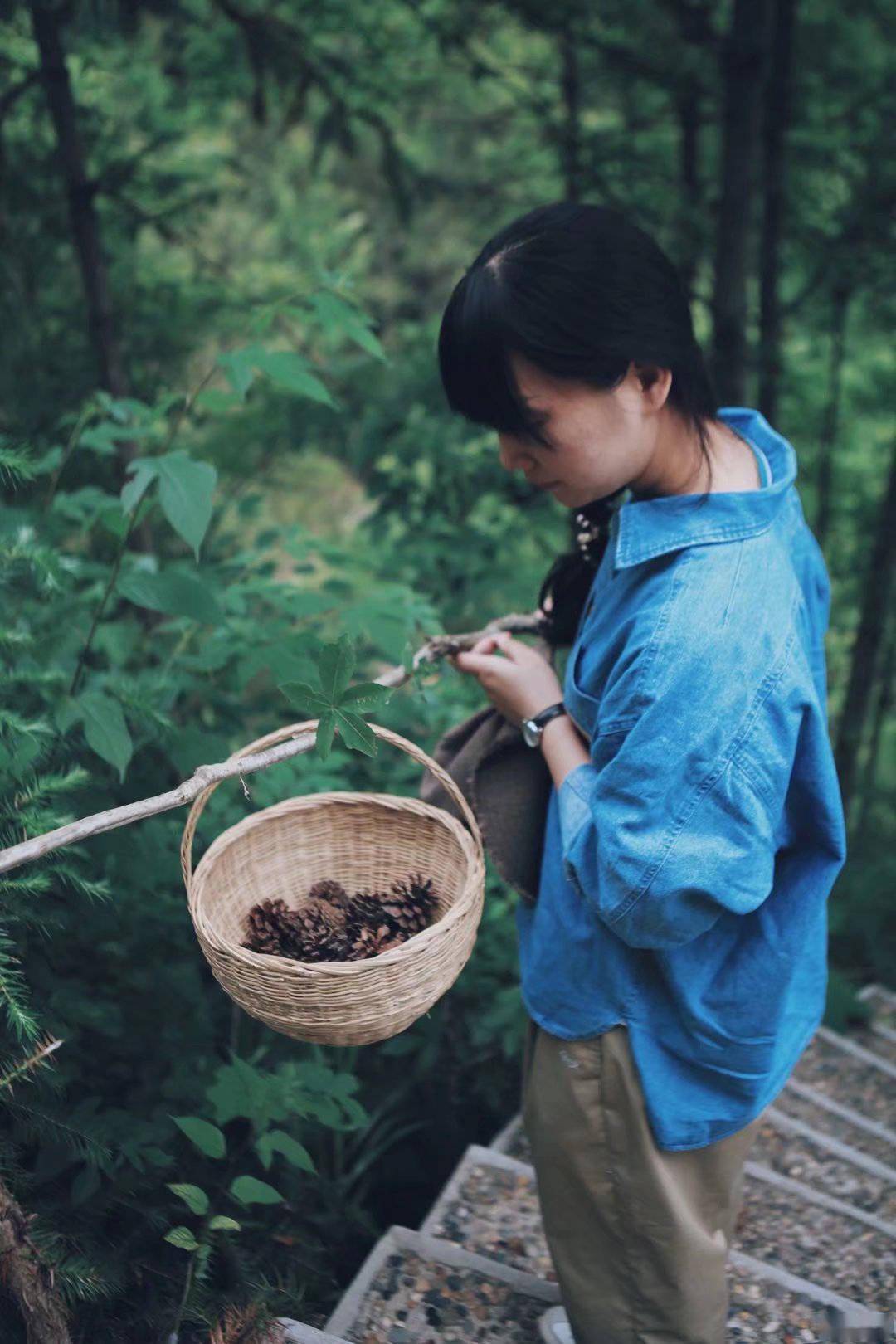 山居岁月长:周末去了趟山里,住小木屋,听雨声_路边摘_白茶_日子