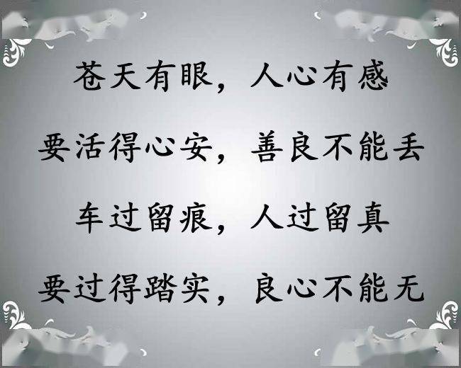 良心,多少钱一斤?_良心