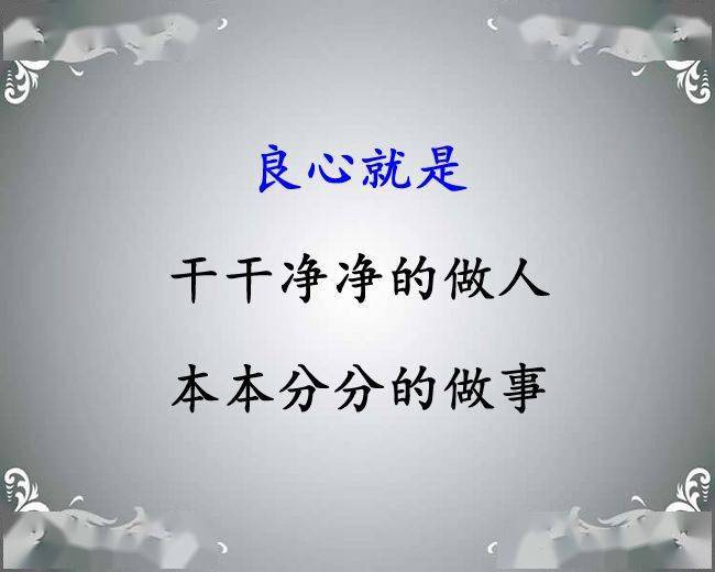 良心,多少钱一斤?_良心