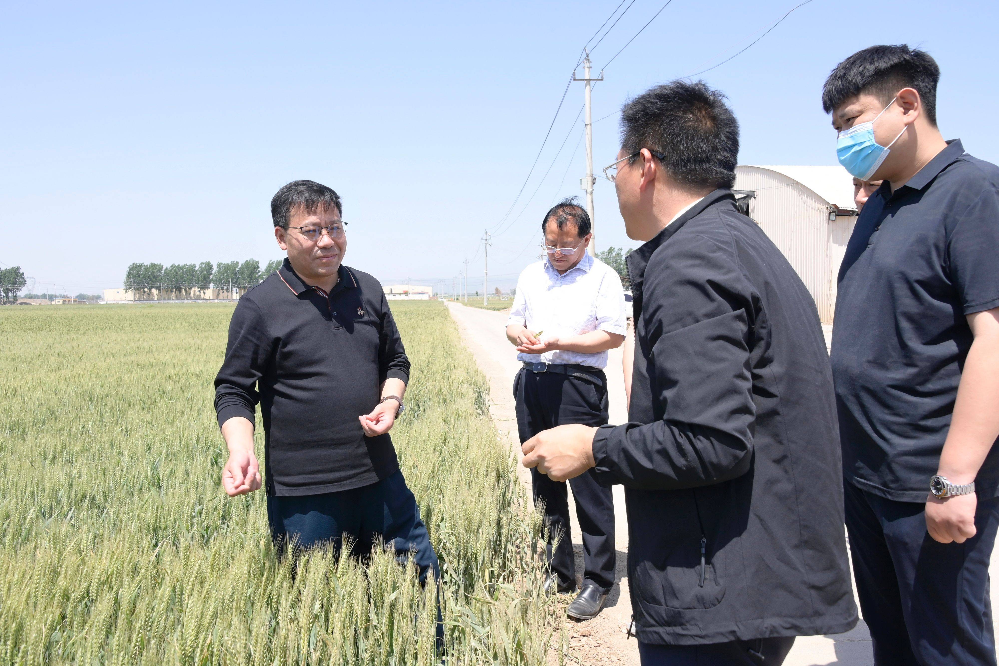 淇县县委书记杨建强调研乡村振兴工作_河口村_项目_北阳镇