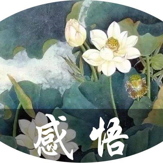 君子为何斗不过小人!(深度好文)_领导_同事_工作