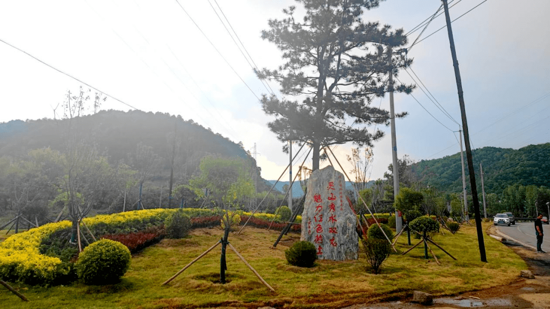 黄陵县双龙镇全员栽花种草扮靓美丽家园