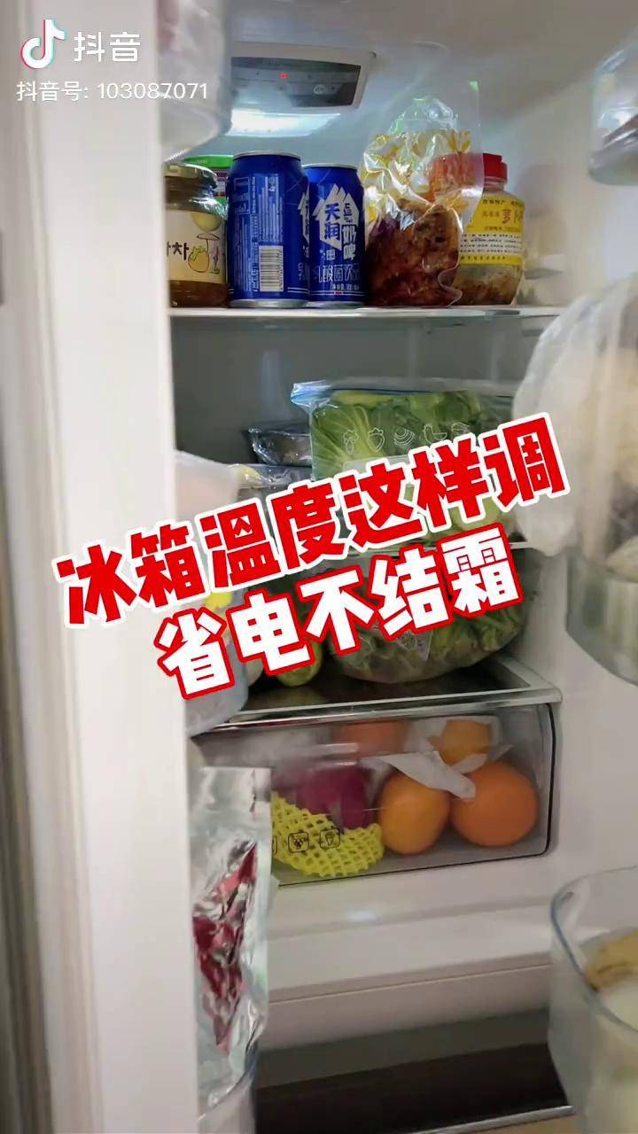 冰箱溫度這樣調即省電又不易結霜冰箱生活小技巧生活小妙招漲知識