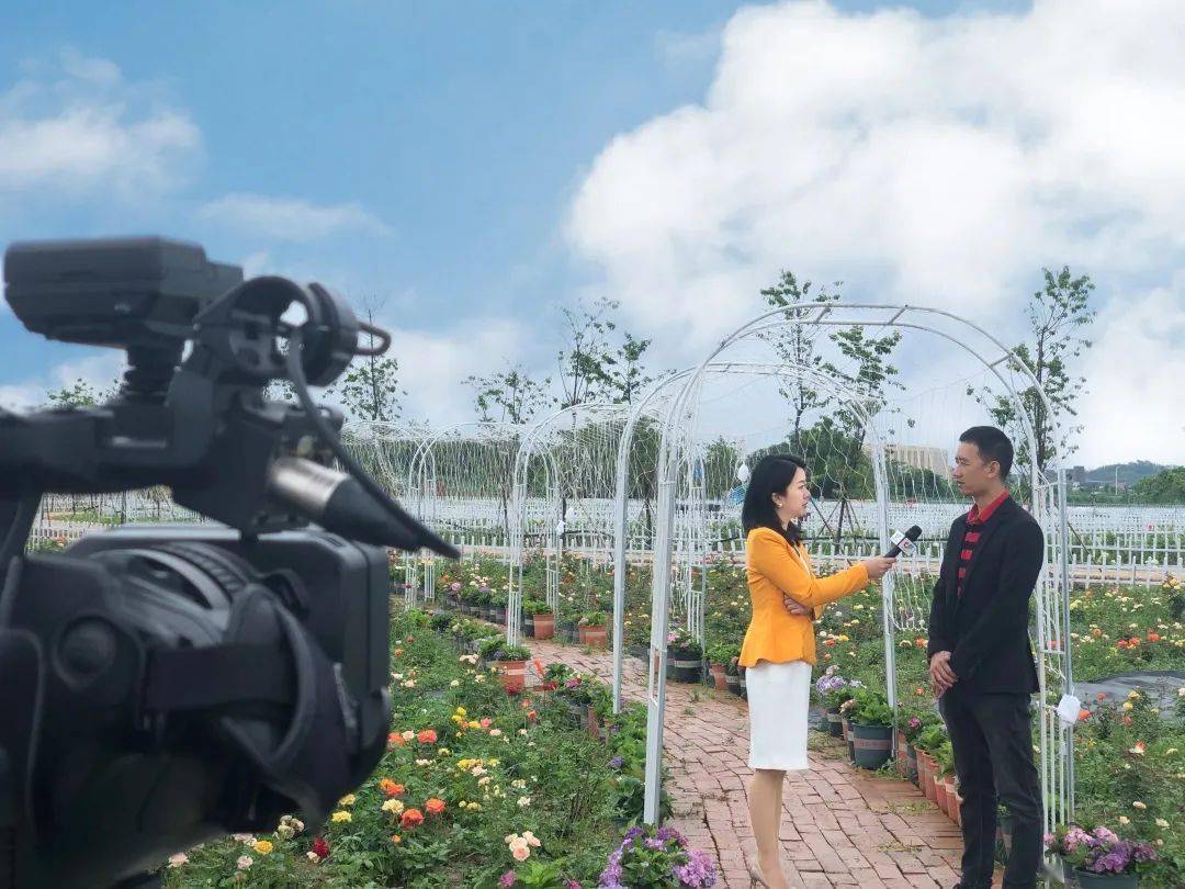 文明会客厅优化营商环境共建文明魏