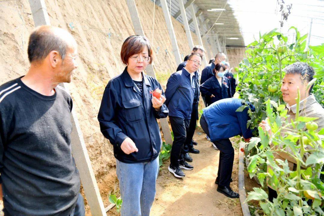 孟繁英包钢图片