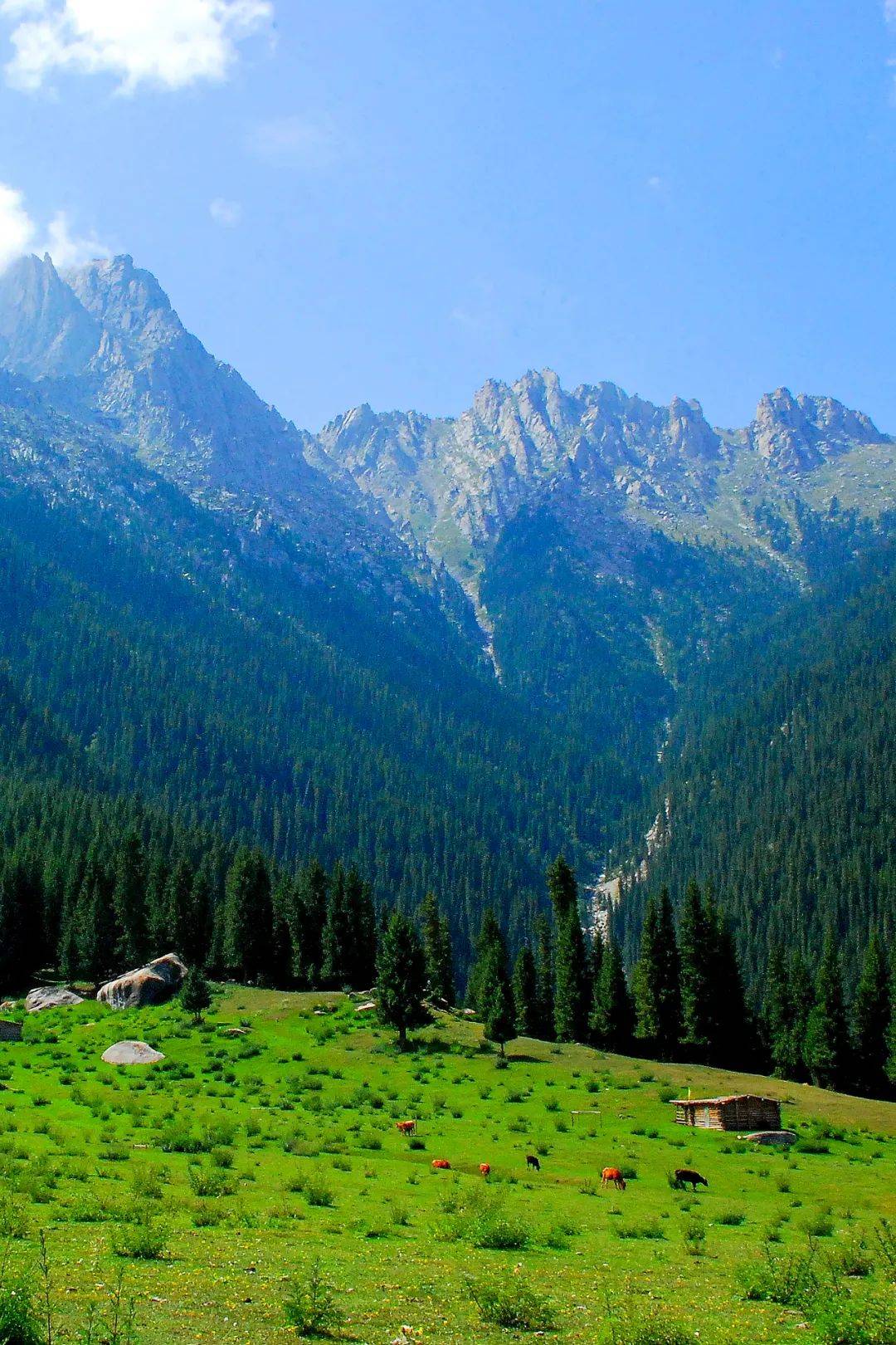 去旅行吧博尔塔拉这几处美景承包你的整个夏天