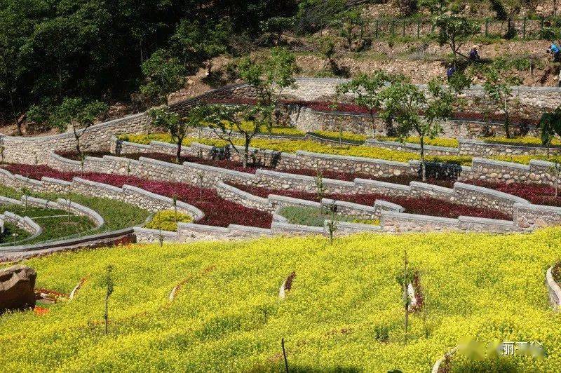 平谷梨树沟村图片