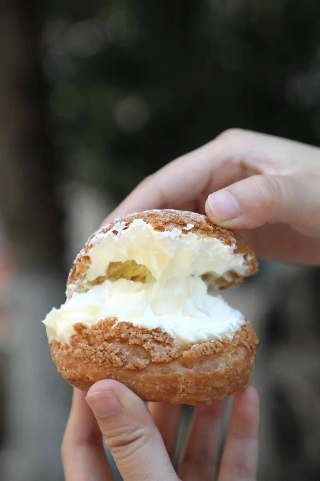 在栗子泡芙和柠檬泡芙中摇摆的我,最好还是选择了柠檬味,事实证明