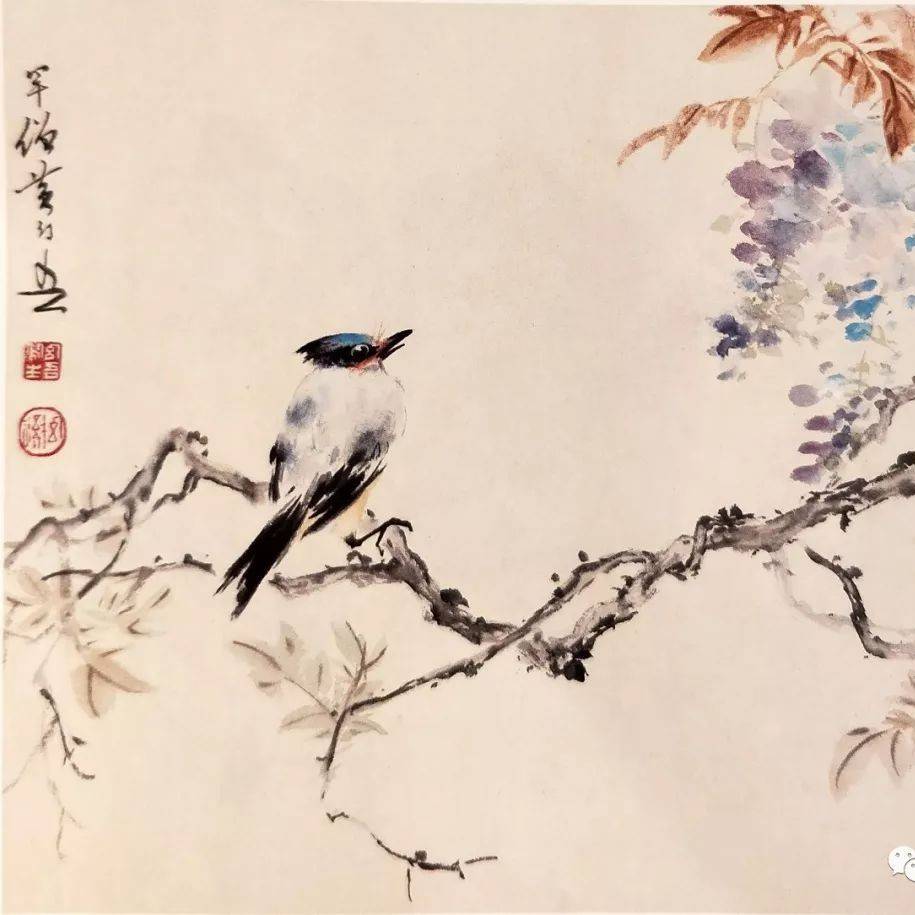 黄幻吾花鸟欣赏_罕僧_纸本_花卉