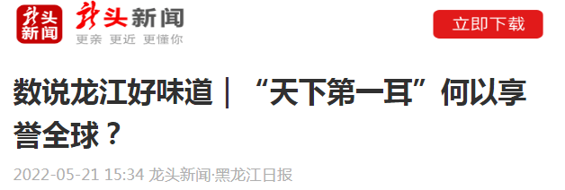龙头新闻黑龙江日报数说龙江好味道天下第一耳何以享誉全球