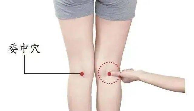 委中穴位于腿窝的中心点上,这里有个穴位叫委中穴,走的是膀胱经.