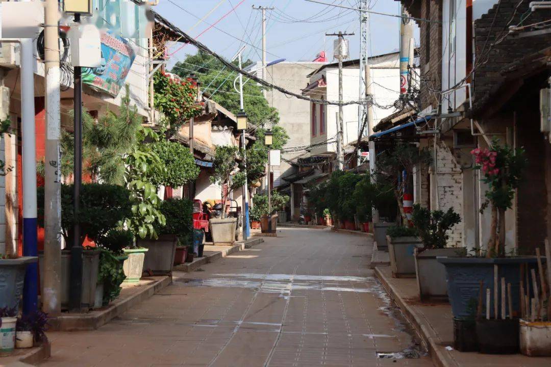 宾居镇人大代表聚焦民生社区亮化绿化焕新颜