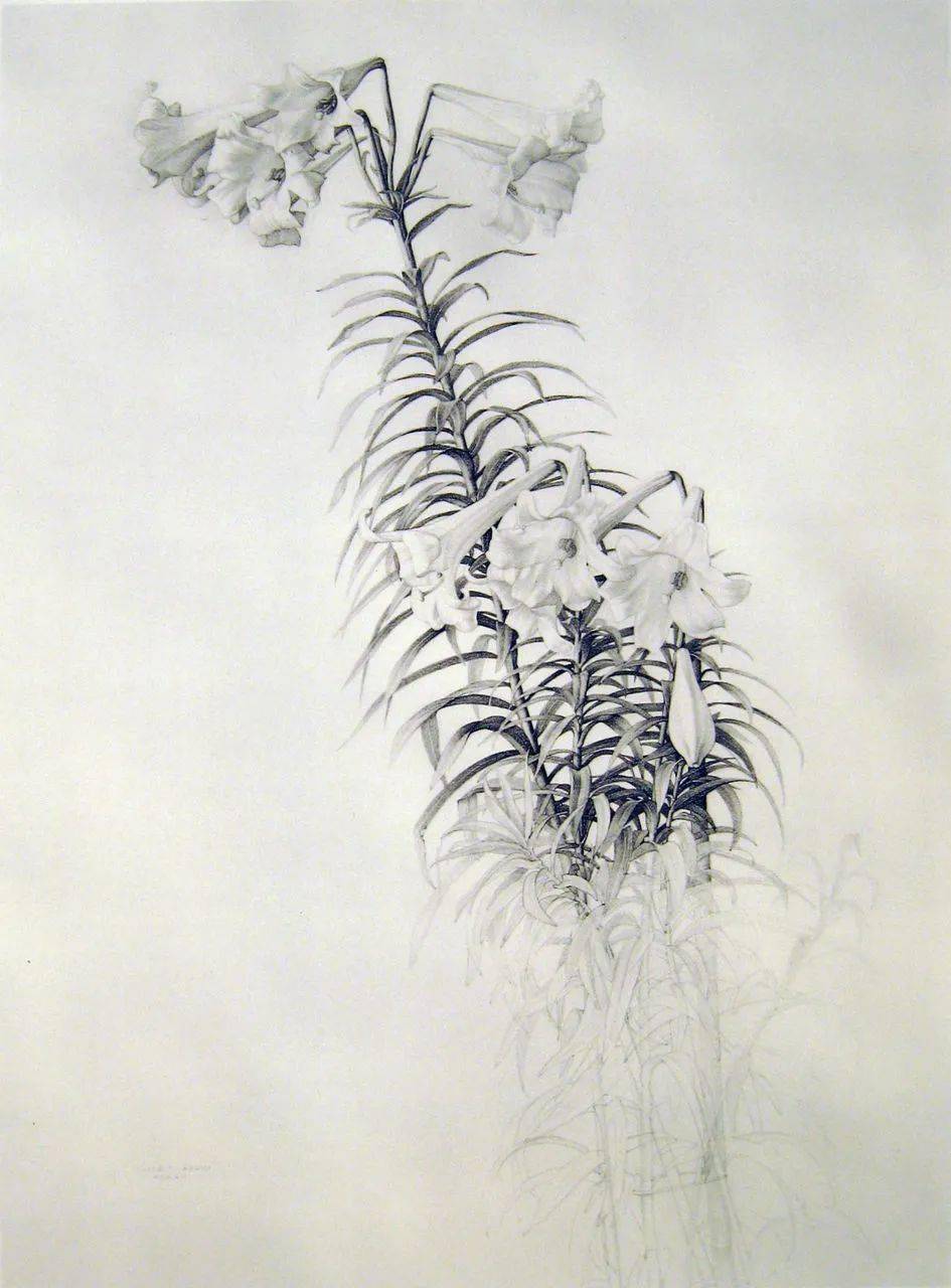 西班牙写实大师布雷沃素描精选