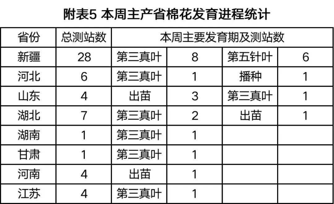 棉花的生长过程顺序图片