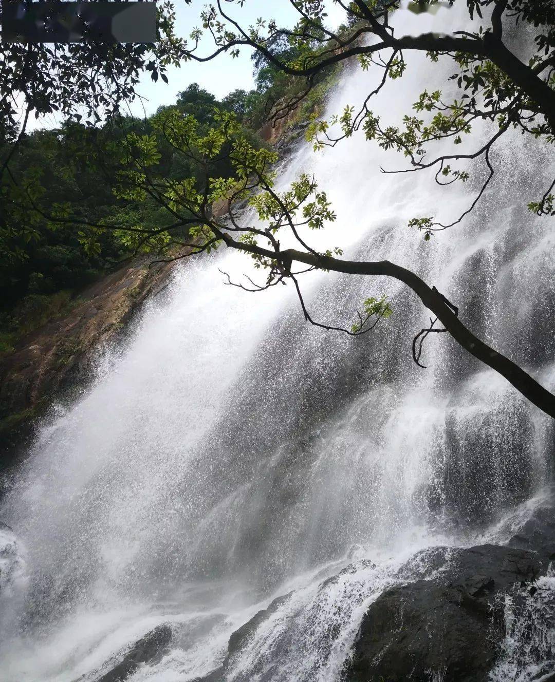 趣游增城白水寨神仙飞瀑亲水栈道奇趣水谷清爽玩水莲塘百亩荷花绿道