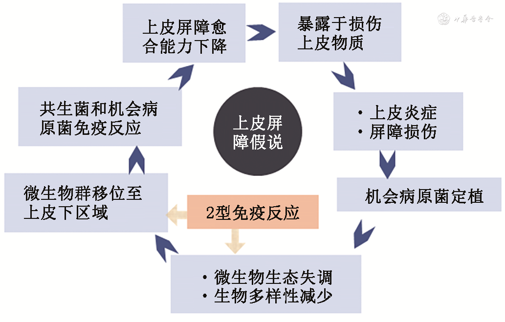 述評從全球變應性鼻炎流行趨勢看加強變應性鼻炎防治的中國行動