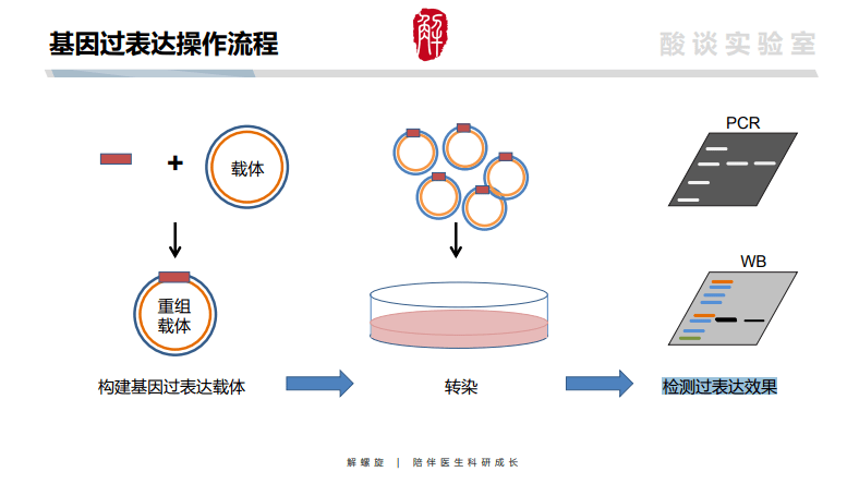 tunel 原理图片