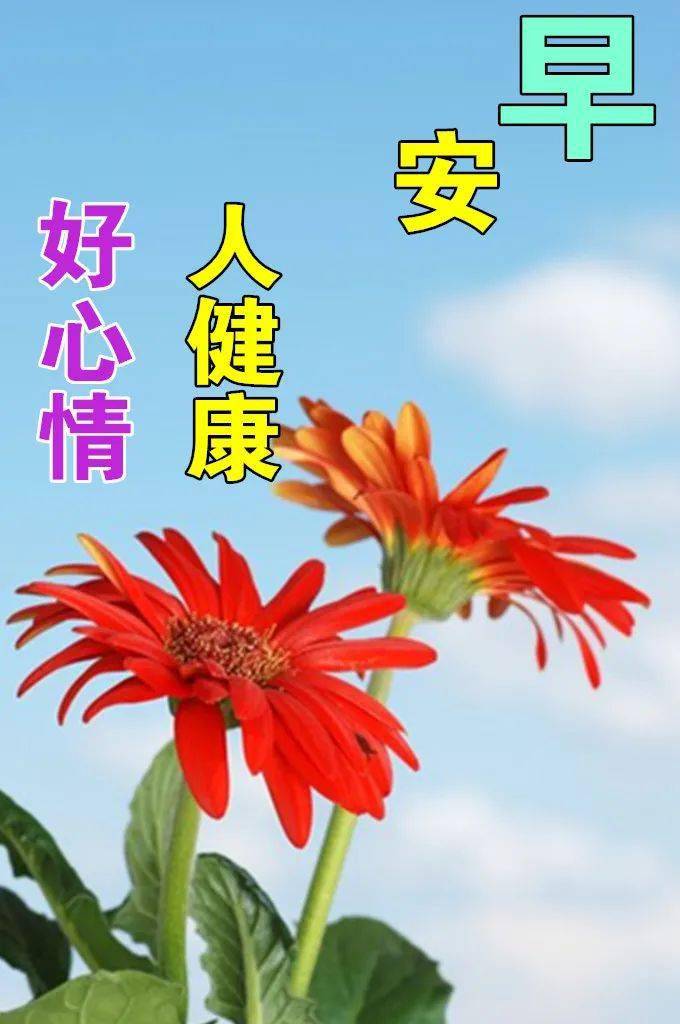 早安!8,