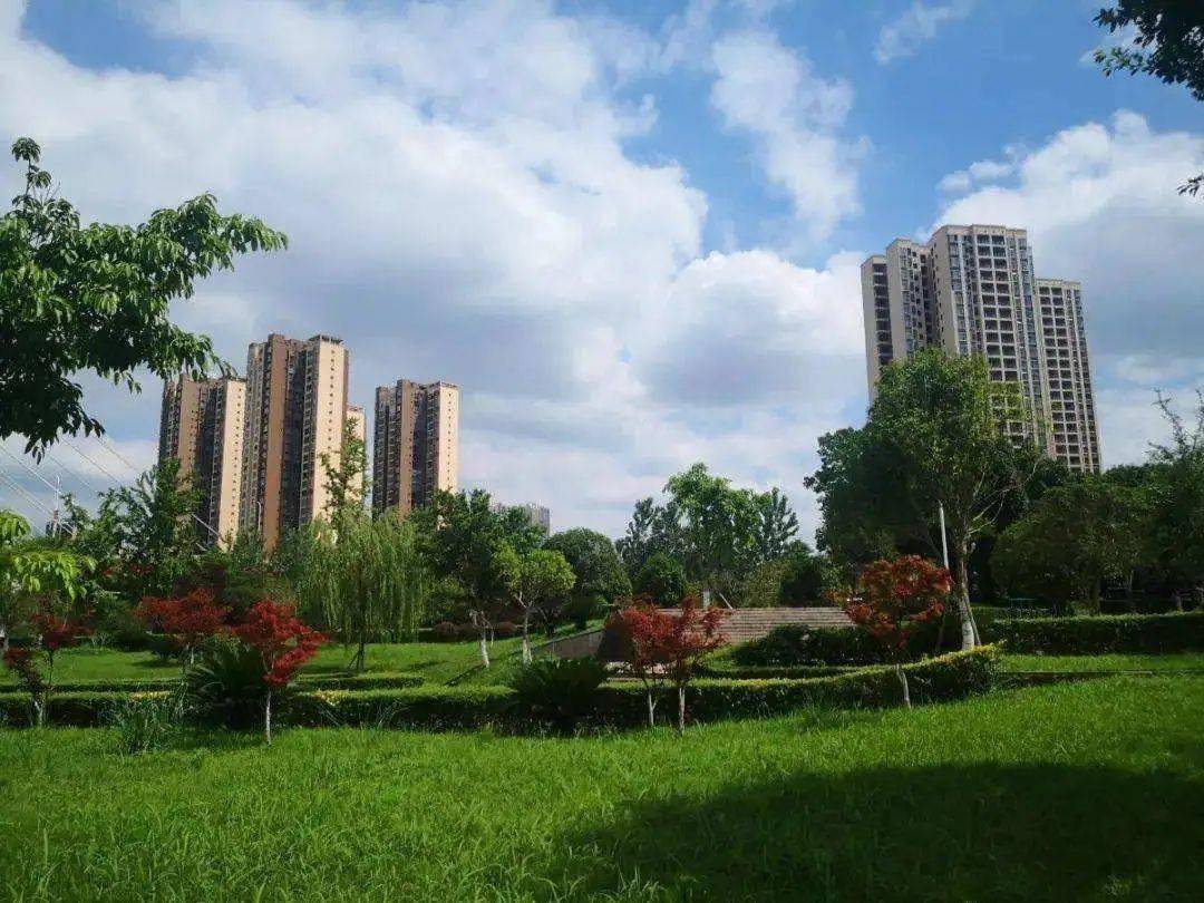 创森啦这些国家森林城市基本知识你知道吗