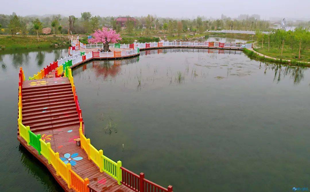 【乐游甘州】甘州:夏日水云乡生态公园美如画_甘州区_塞上江南_郑旺