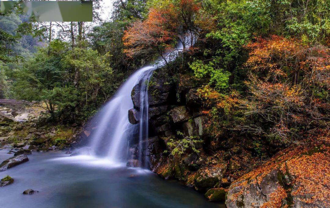 揭晓三明市秀美将乐县61康养龙栖山摄影展作品征集评选结果出炉