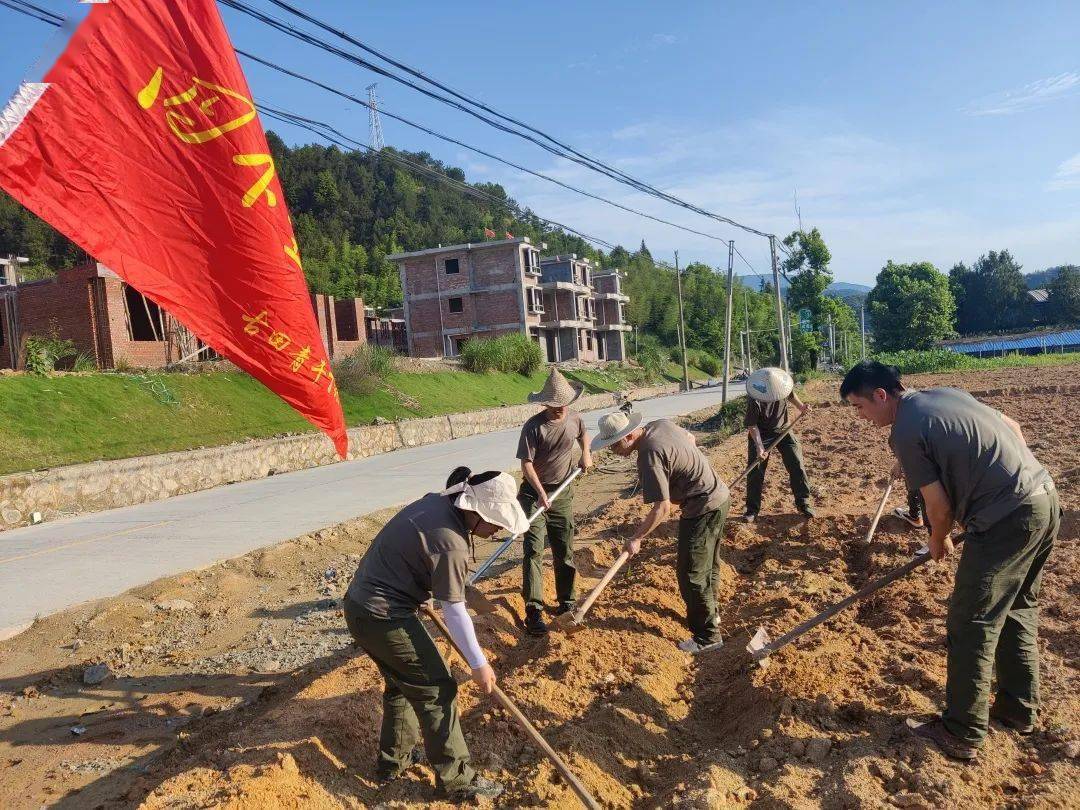 青年干部四下基层实践锻炼田间地头忙农耕乡村振兴谋良策