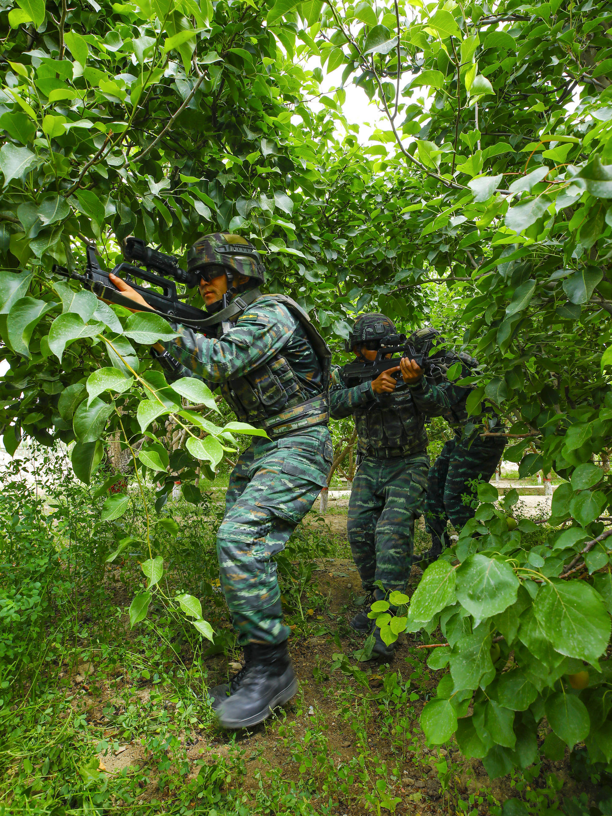 新疆武警总队图片