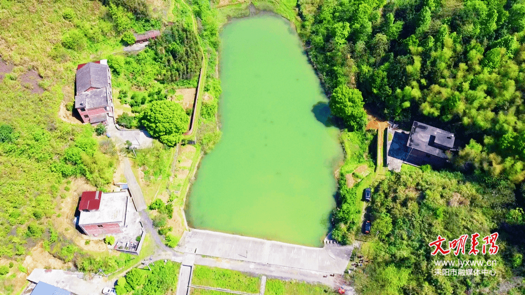 打赢防溺水人民战争62南阳镇创新使用无人机航拍技术助力防溺水工作