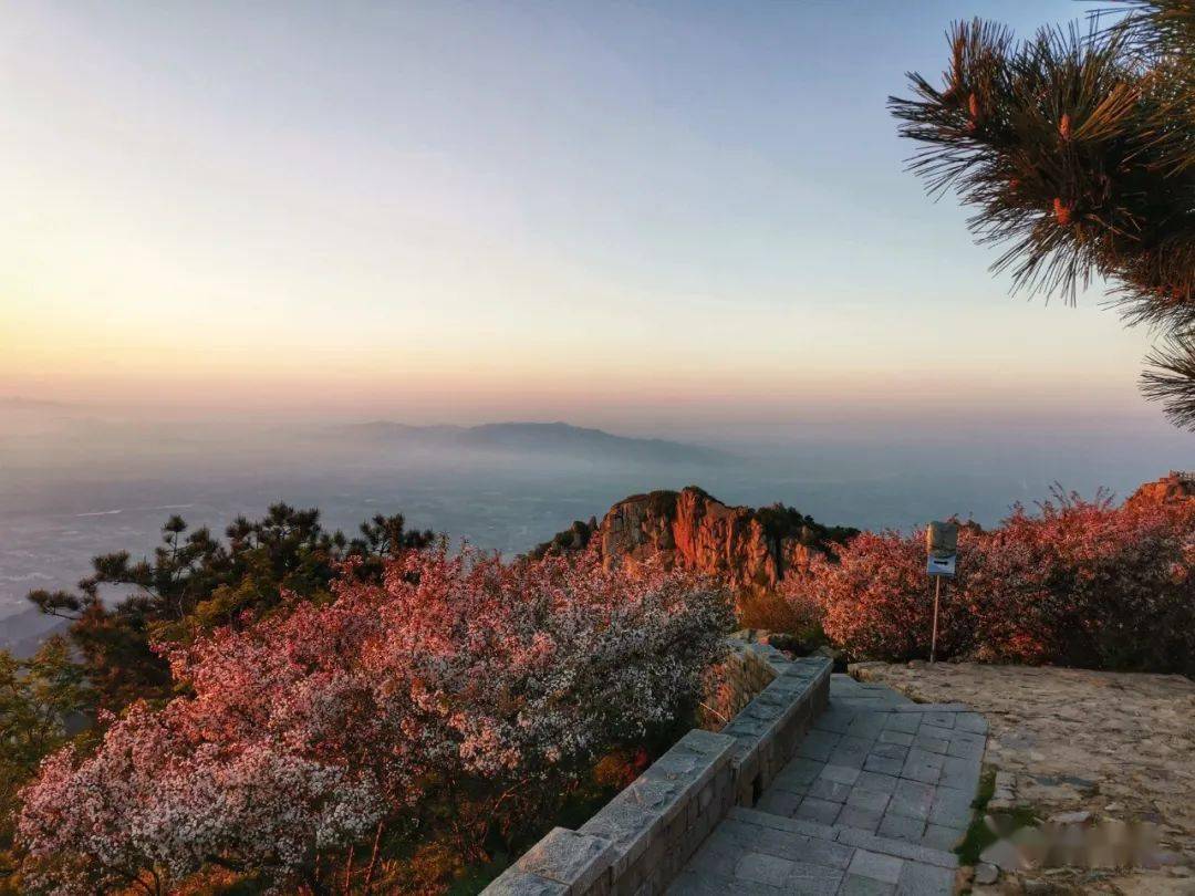 泰山绝美日出来袭,千万别眨眼_景区_美景_刘佐
