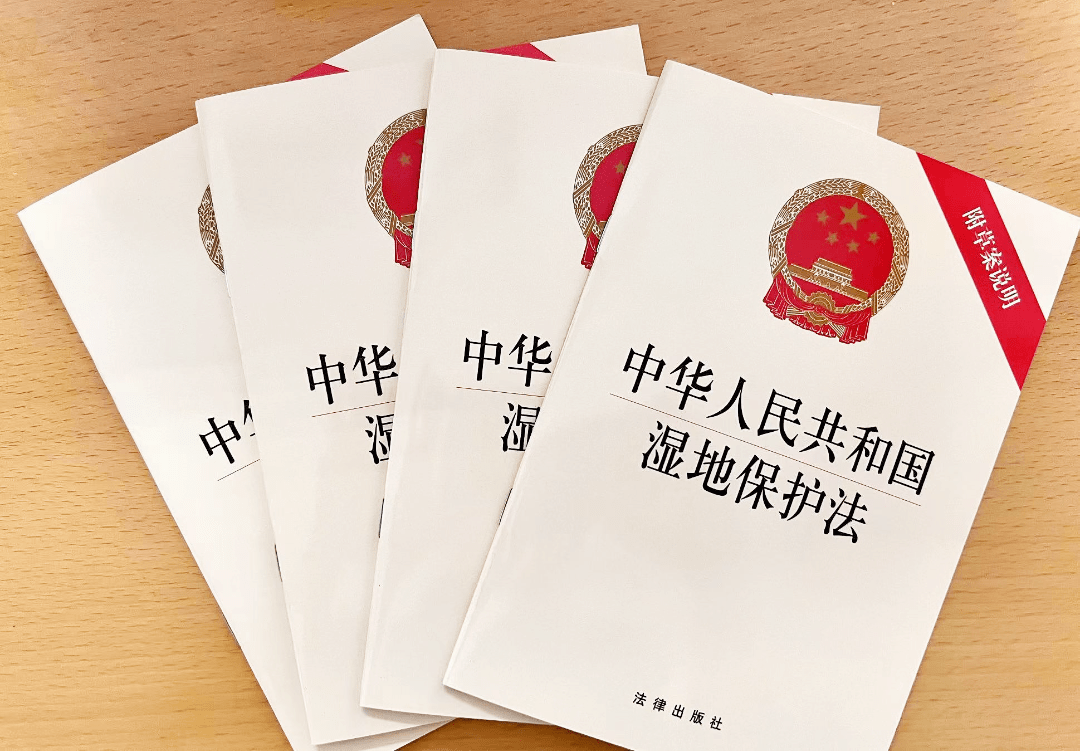 湿地保护有法可依中华人民共和国湿地保护法6月1日起施行