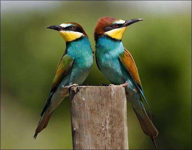 视觉盛宴:100幅极品彩色摄影作品欣赏_摄影_极品_盛宴